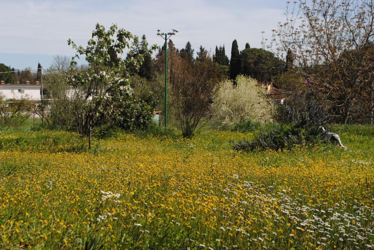 Agriturismo Fattoria Di Malavolta 佛罗伦萨 外观 照片