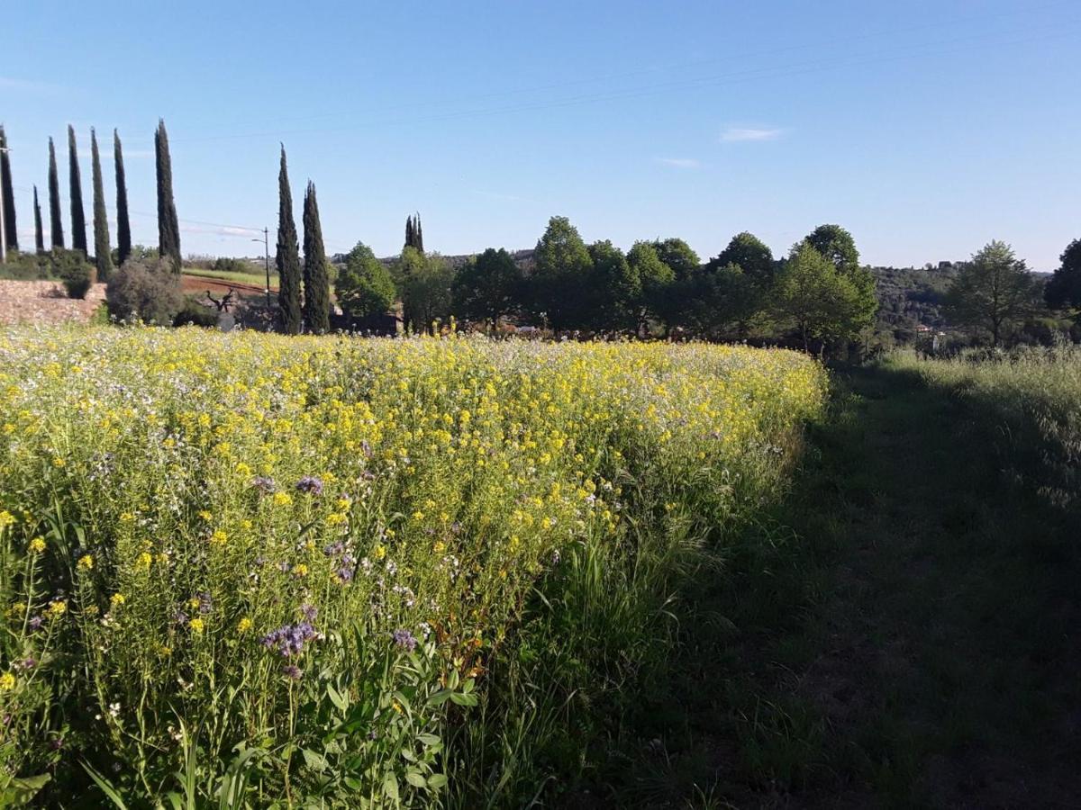 Agriturismo Fattoria Di Malavolta 佛罗伦萨 外观 照片